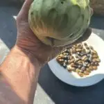 1DDA79F4-A3AD-48C2-9DEF-828452D6958F