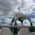 A5A869CD-9992-413F-8B75-EFC1F6FE539B