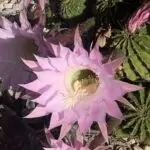 PHOTO-2024-04-20-22-09-32 8