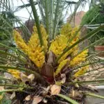 PHOTO-2024-04-20-22-09-33 2