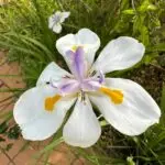 PHOTO-2024-04-24-19-39-24 1