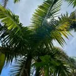 PHOTO-2024-05-08-14-53-33