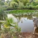 PHOTO-2024-05-10-21-16-20