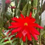 PHOTO-2024-05-18-15-23-42