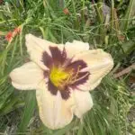 PHOTO-2024-05-18-15-23-52