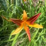 PHOTO-2024-05-18-15-24-17