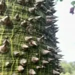 PHOTO-2024-09-21-13-13-45