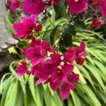 PHOTO-2024-09-21-13-19-43