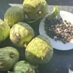 PHOTO-2024-10-22-15-04-28